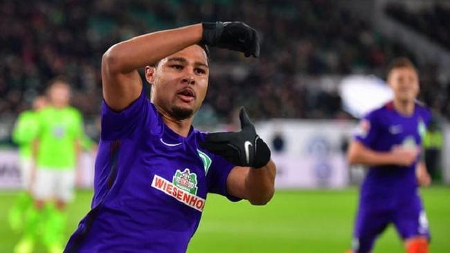 阵容全景 阵容全景